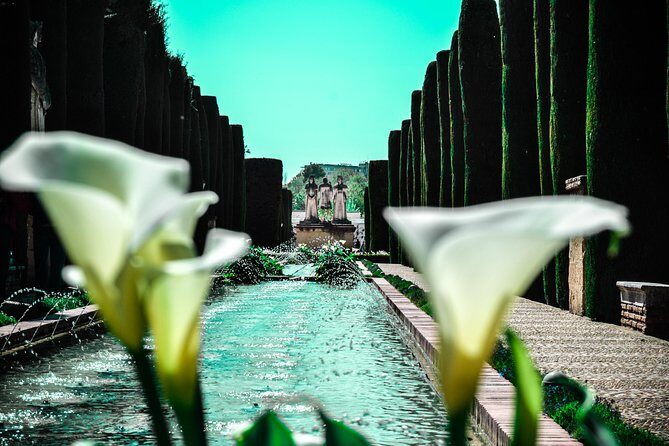 Alcázar de los Reyes Cristianos - Gardens: the part locals still use