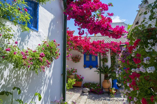 Authentic Patios of Cordoba Guided Tour - Key things that make this patio tour worth it