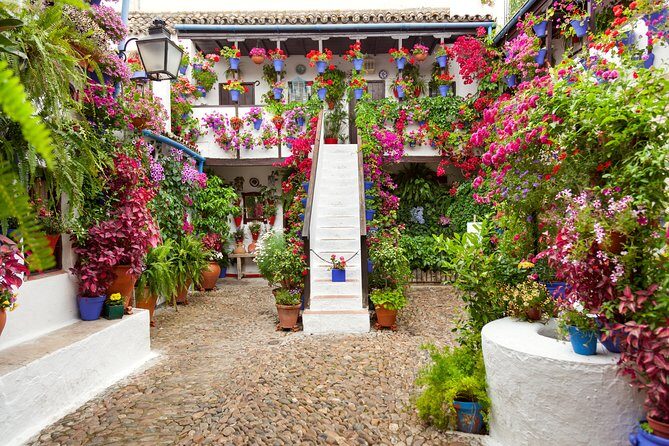 Authentic Patios of Cordoba Guided Tour - The Patios Festival connection: why spring matters (and why year-round still counts)
