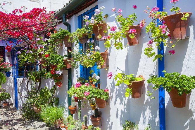 Authentic Patios of Cordoba Guided Tour - Tour basics: price, timing, tickets, and how to find your guide