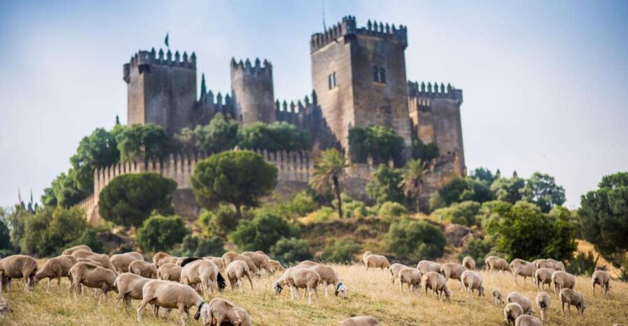Córdoba: Almódovar Castle Entrance Ticket - From the ticket center to the first big doorway: what your start feels like