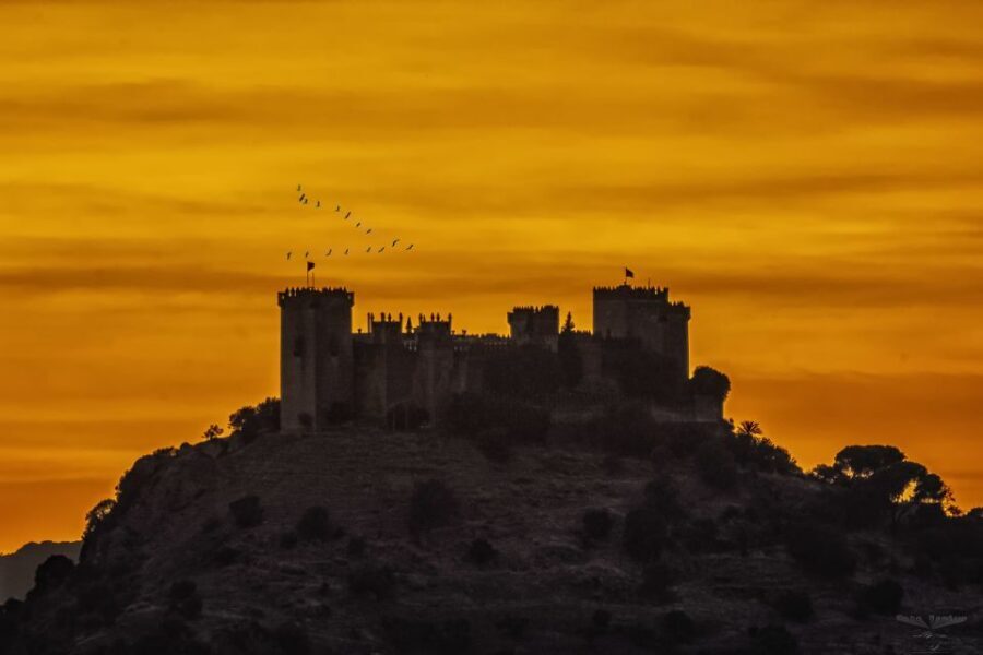 Córdoba: Almódovar Castle Entrance Ticket - Arabic-to-medieval history: what the stonework story actually means