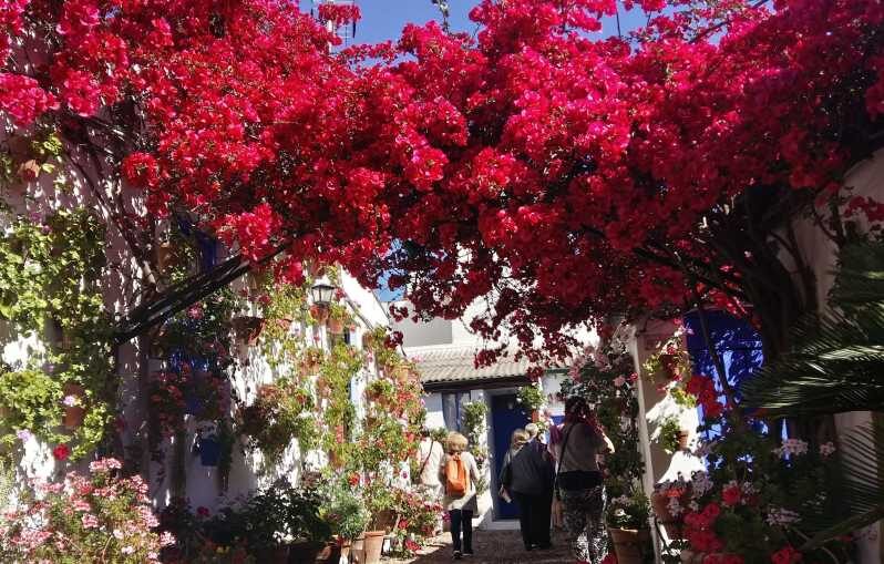 Cordoba Courtyards by Bike, Electric Bike - Key highlights worth your attention
