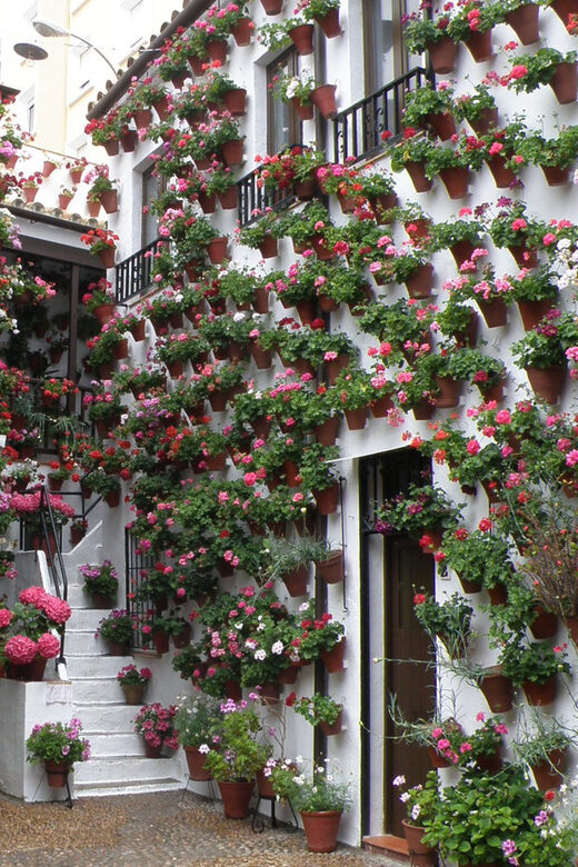 Cordoba Courtyards by Bike, Electric Bike - Why See Córdoba’s Patios From a Bike