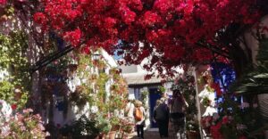 Cordoba Courtyards by Bike, Electric Bike - Electric vs. Regular Bike: Pick the Level of Effort