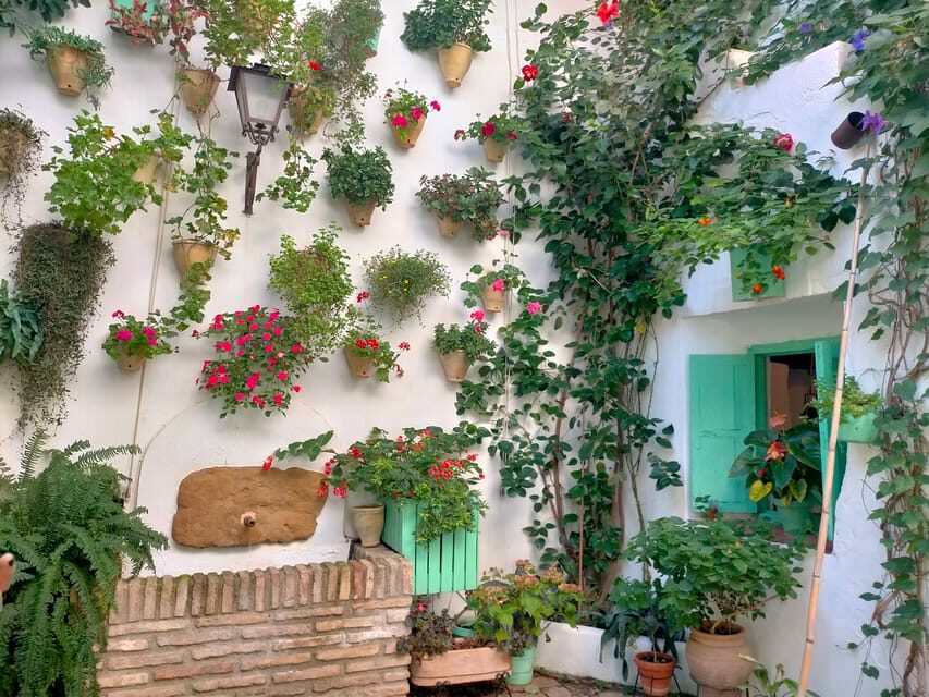 Cordoba Courtyards by Bike, Electric Bike - The Patio Festival Story the Guide Brings to Life