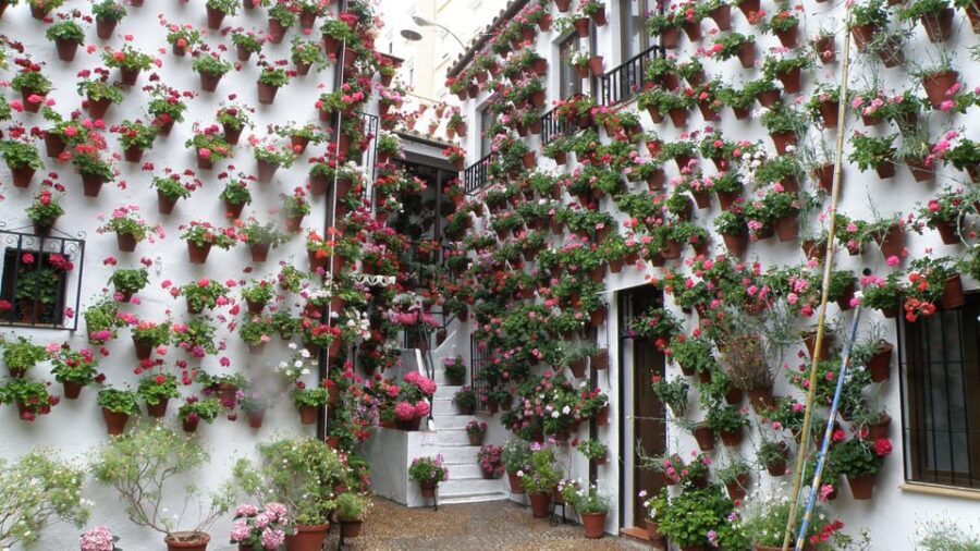 Cordoba Courtyards by Bike, Electric Bike - Who This Tour Fits Best (and Who Might Want a Different Plan)