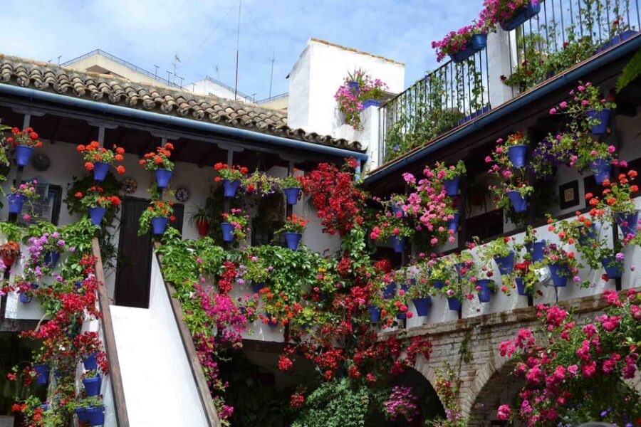Cordoba Courtyards by Bike, Electric Bike - Should You Book This Córdoba Courtyards By Bike Tour?