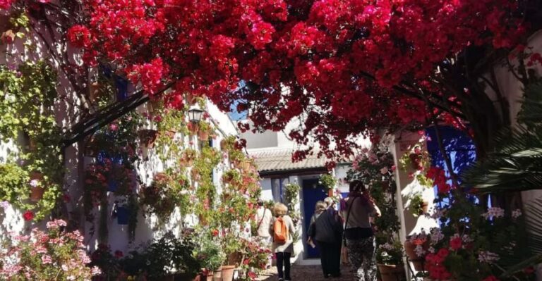 Cordoba Courtyards by Bike, Electric Bike - Electric vs. Regular Bike: Pick the Level of Effort