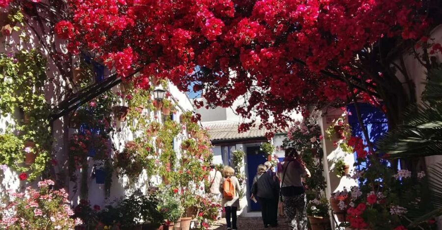 Cordoba Courtyards by Bike, Electric Bike - Electric vs. Regular Bike: Pick the Level of Effort