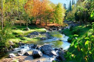 Cordoba Cumbrecita Tour with Spanish Speaking Guide - Driving the Calamuchita Route: Lake Los Molinos, Town Names, and Mountain Air