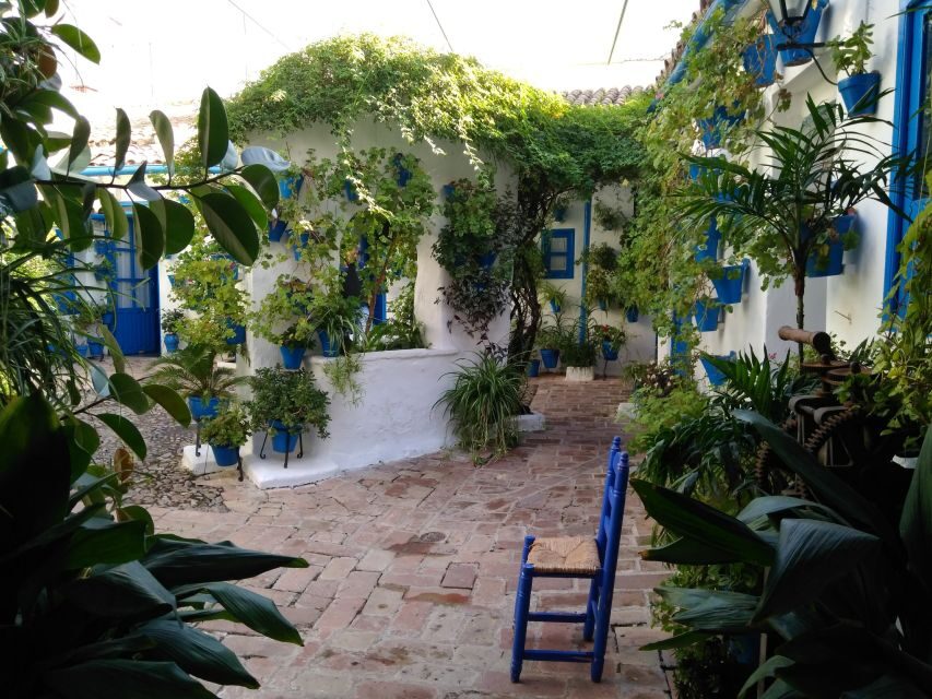 Córdoba Daily Highlights Bike Tour - Easy Cycling, Helmets, and Ponchos: Comfort You Can Feel