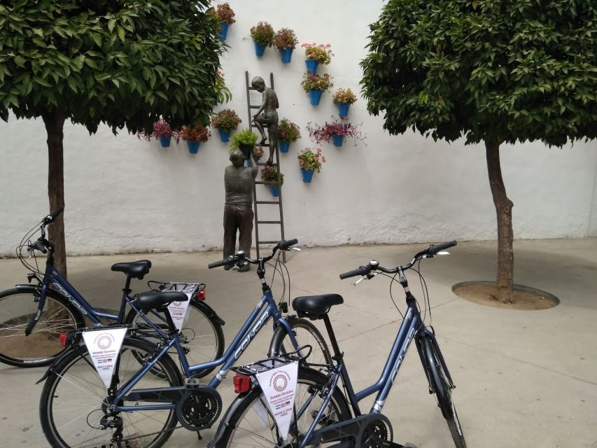 Córdoba Daily Highlights Bike Tour - Calahorra Tower–Museum and River Views That Feel Like a Reward