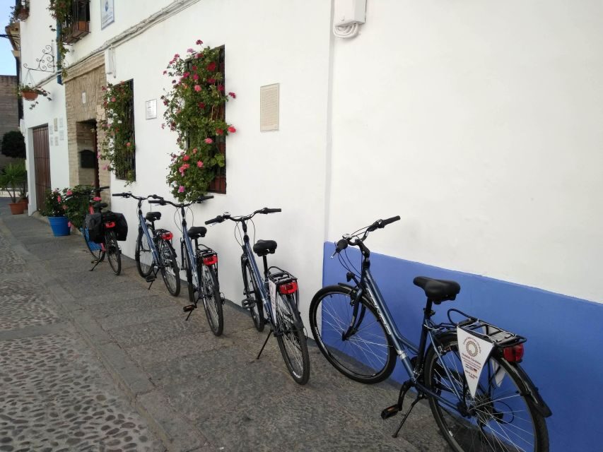 Córdoba Daily Highlights Bike Tour - Viana Palace and the Patio Stops: Where Córdoba Shows Off