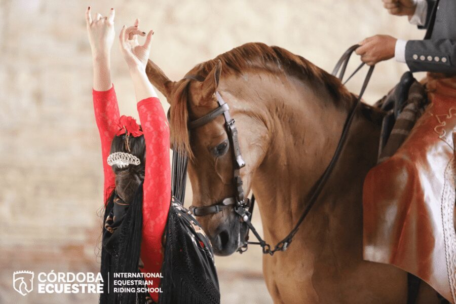 Cordoba: Equestrian Show General Entry - Key things to know before you go
