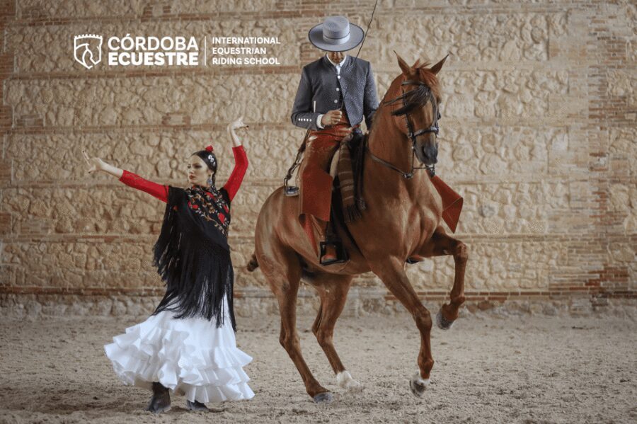 Cordoba: Equestrian Show General Entry - Why the Caballerizas Reales show feels so Córdoba