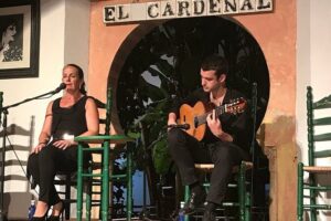 Cordoba Flamenco Show at Tablao El Cardenal with a Drink - The 1.5-Hour Flamenco Show: Cante, Baile, Guitarra in One Shot