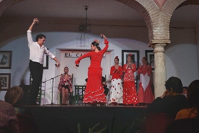 Cordoba Flamenco Show at Tablao El Cardenal with a Drink - Who This Flamenco Night Is Best For