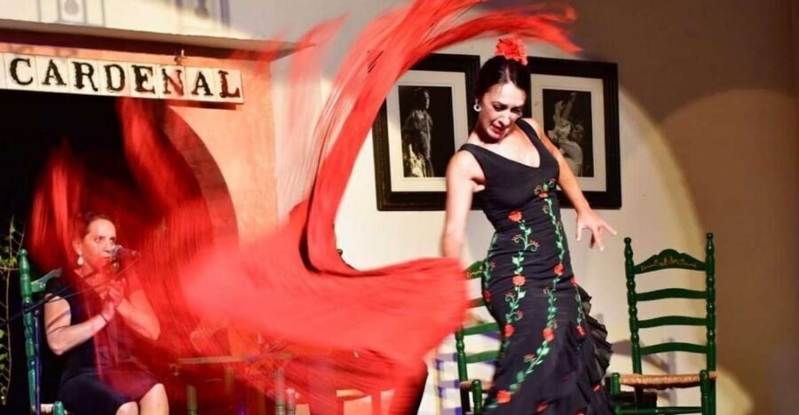 Córdoba: Flamenco Show Ticket with Drinks - Key things you’ll notice