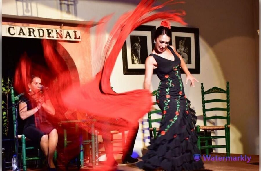 Córdoba: Flamenco Show Ticket with Drinks - Entering Tablao Flamenco El Cardenal: what to expect before the first clap