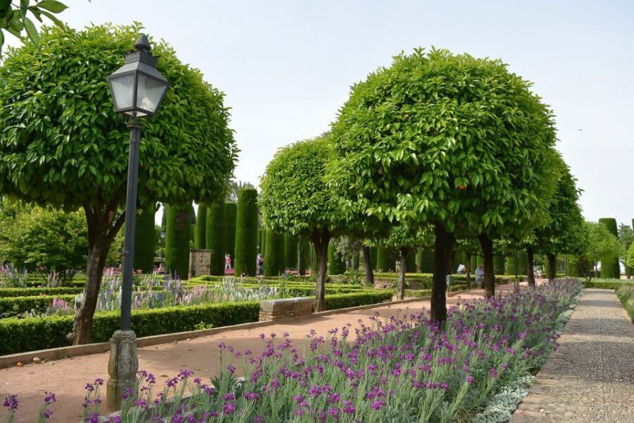 Cordóba: Gardens & Fortress of Catholic Monarchs Guided Tour - UNESCO Context Without the Lecture