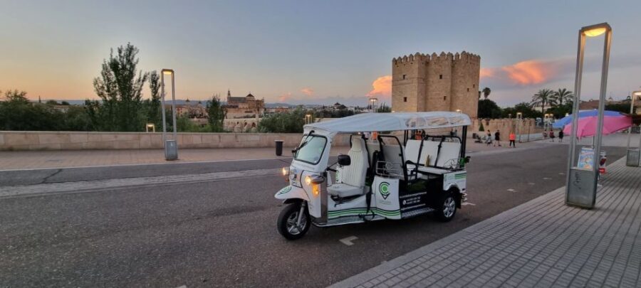 Córdoba: Guided City Tour by Tuk-Tuk - Getting Oriented in Córdoba From a Tuk-tuk Seat