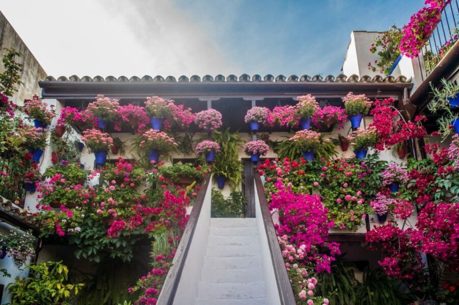 Córdoba: Guided Tour of the Patios - Quick hits before you go