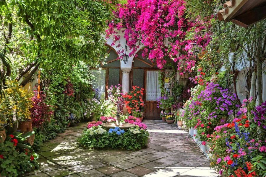 Córdoba: Guided Tour of the Patios - Roman Origins: Why Córdoba’s Past Still Shapes the Patio
