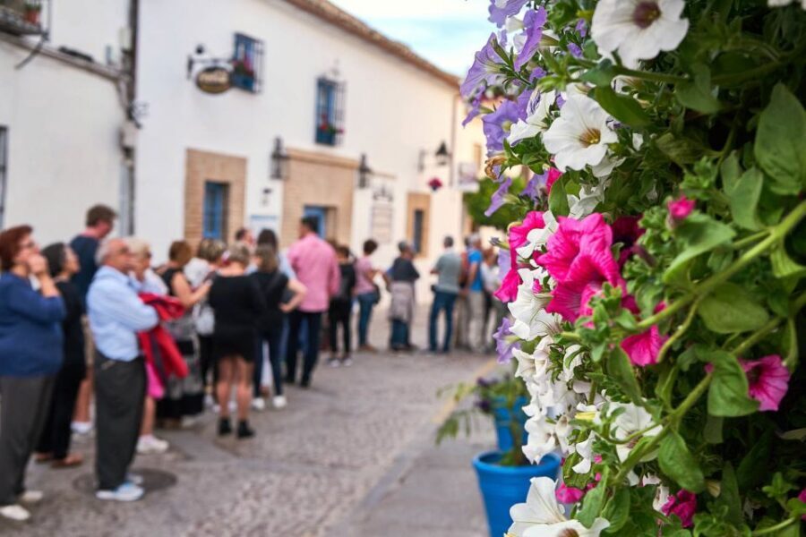 Córdoba: Guided Tour of the Patios - UNESCO and the May Flowers: The Living Tradition Angle