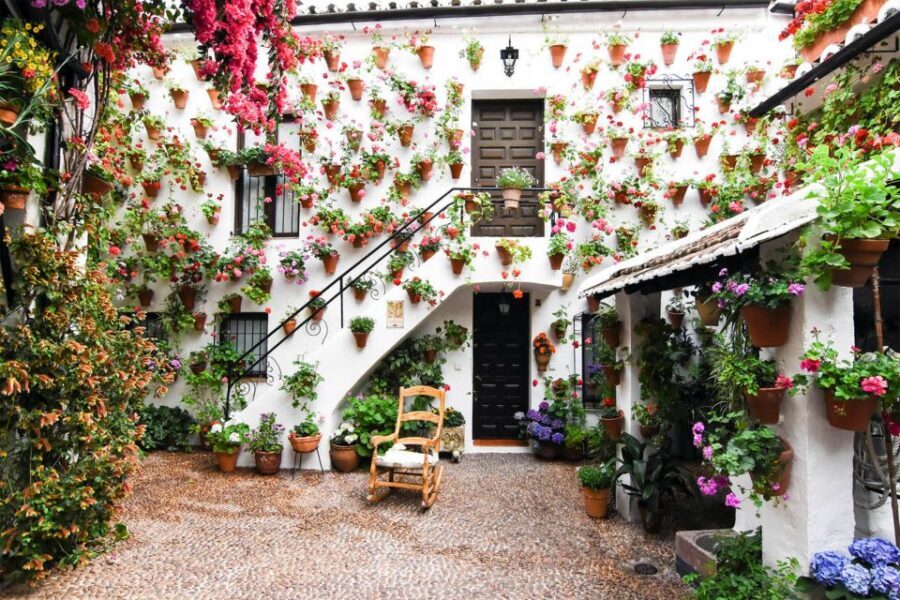 Córdoba: Guided Tour of the Patios - Inside the Courtyards: Cooling, Friendship, and Flowers With Meaning