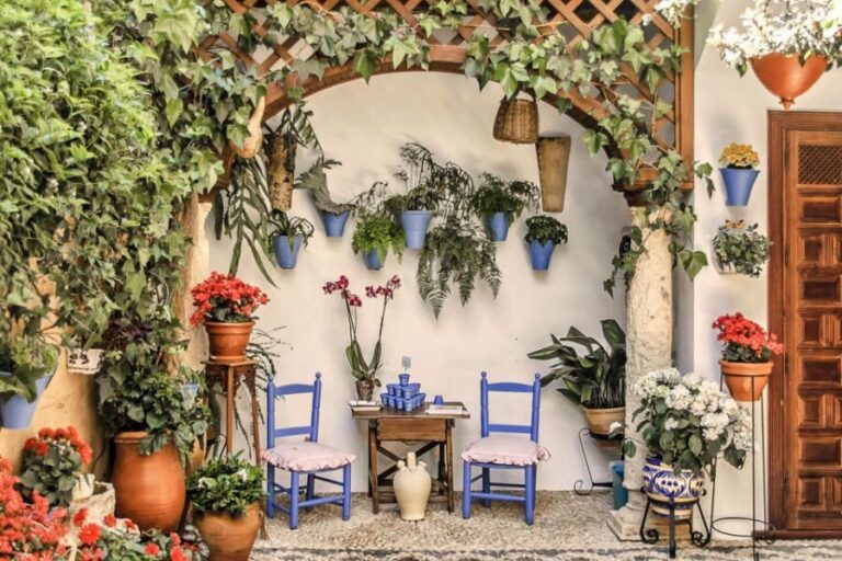 Córdoba: Guided Tour of the Patios - A Walk That Starts With Where You Wait