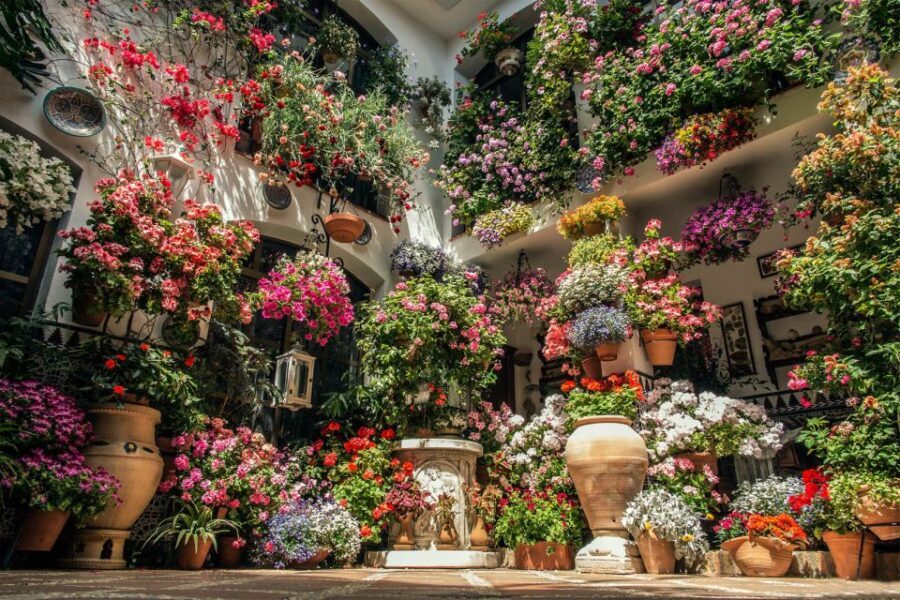Córdoba: Guided Tour of the Patios - Timing and Crowds: How to Make the 1.5 Hours Feel Longer