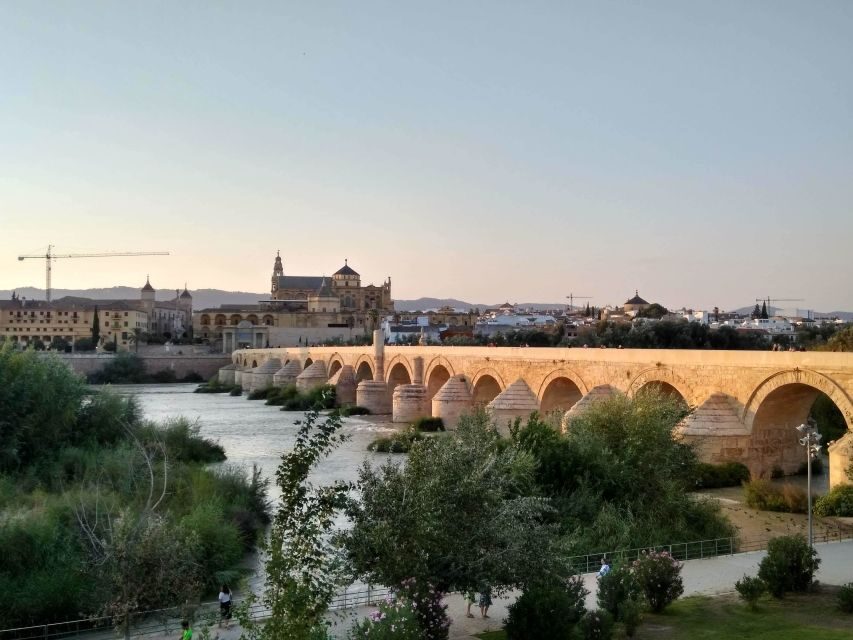 Córdoba Highlights Walking Tour - Mezquita-Catedral: why Córdoba’s main monument is worth a guided look