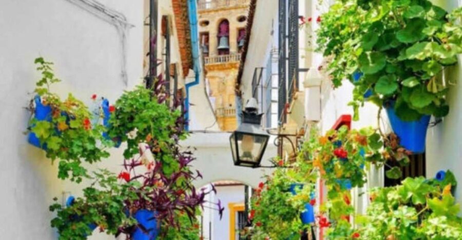 Cordoba: Historical Monuments of Cordoba City Walking Tour - Key highlights you’ll care about