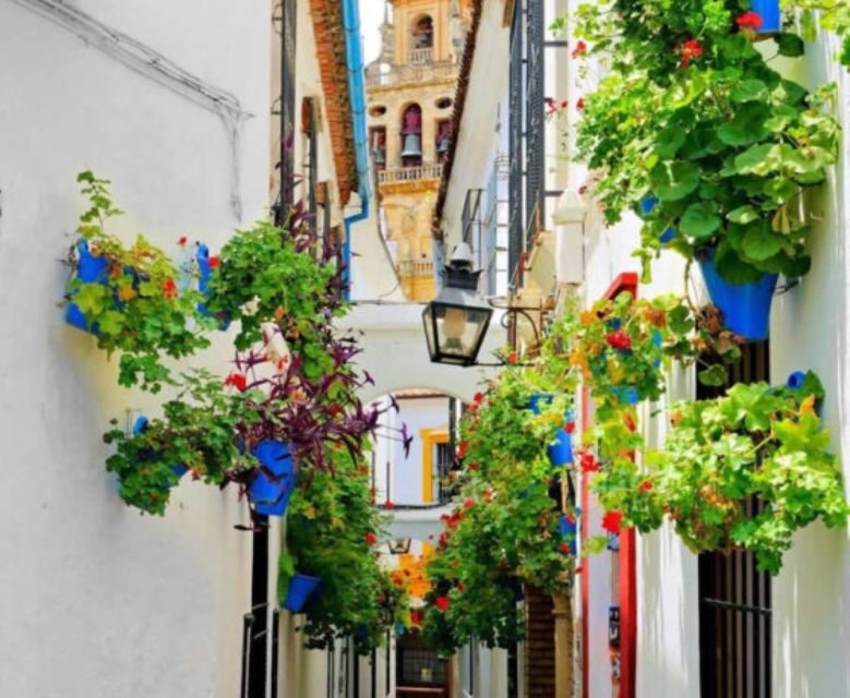 Cordoba: Historical Monuments of Cordoba City Walking Tour - Córdoba’s monuments make more sense in one walking loop