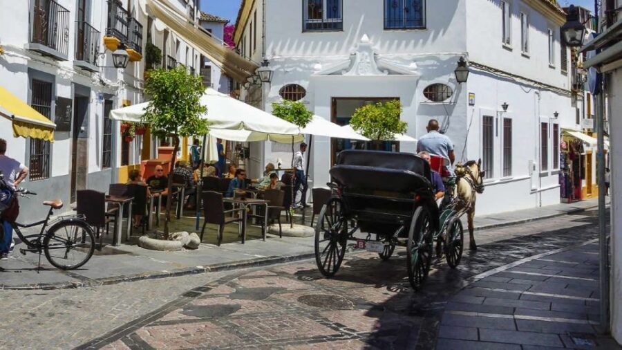 Cordoba: Historical Monuments of Cordoba City Walking Tour - Pace, timing, and how to prep so you enjoy it