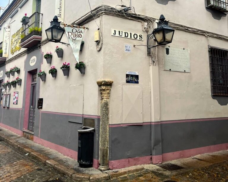 Cordoba: Jewish History Private Tour - The Córdoba Synagogue: one of Spain’s last remaining