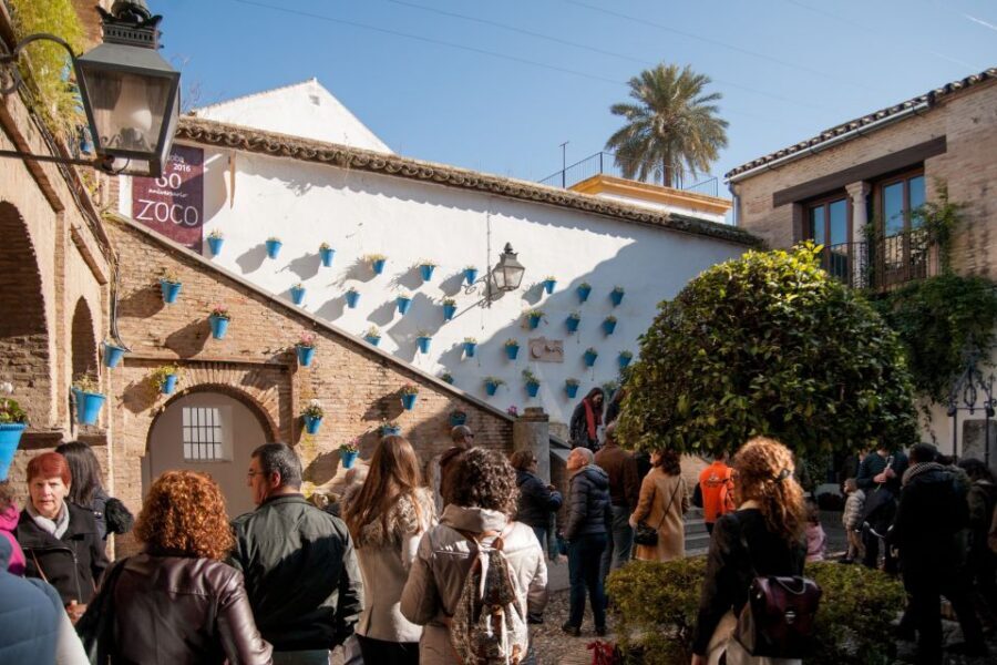 Cordoba: Jewish Quarter and Mosque-Cathedral Guided Tour - Pace, Group Size, and the Real Role of the Guide