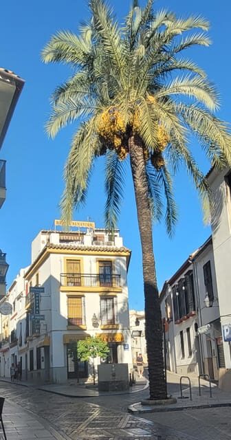 Córdoba Mid-Morning Walk - Small Groups, Native English. - Roman Temple and Bridge: seeing Córdoba as an older city