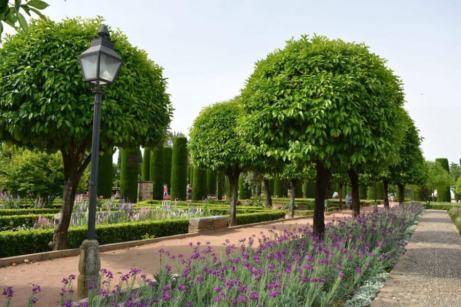 Cordoba: Monuments Walking Tour - Pacing, Group Size, and Practical Tips That Matter