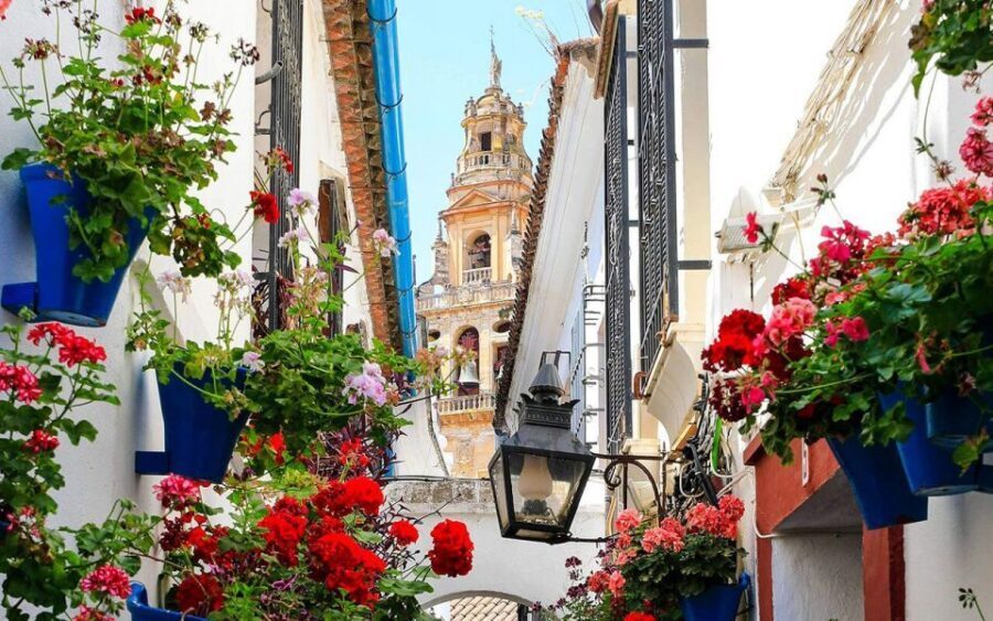 Córdoba: Mosque and Alcazar Private Tour with tickets - Mosque-Cathedral: how the guide helps you read the building