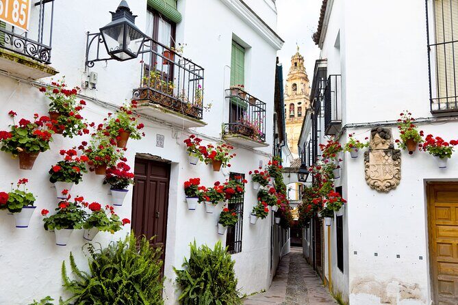 Cordoba Mosque-Cathedral & City Private Tour - How guides shape the experience (and why it shows up in the reviews)