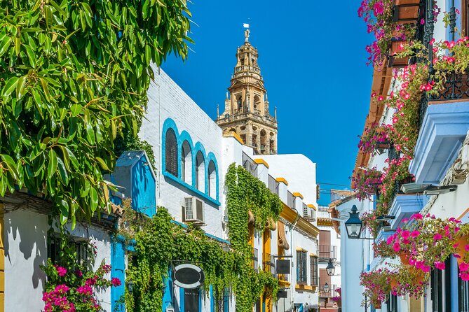 Cordoba Mosque-Cathedral & City Private Tour - Tour value: what $147.54 buys you in real terms