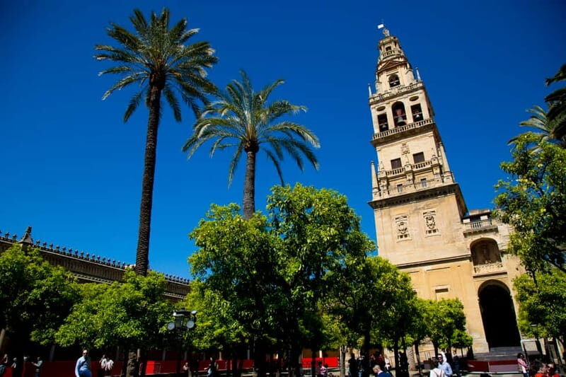 Córdoba: Mosque-Cathedral, Jewish Quarter and Alcázar Tour - Value check: does $51 make sense for this Córdoba combo?