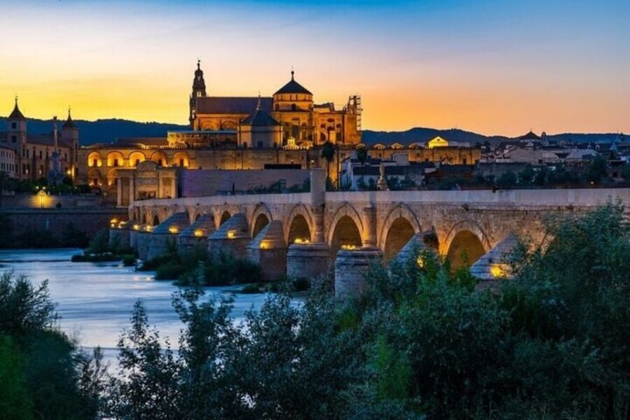 Cordoba: Mosque-Cathedral Private Tour with Tickets - Key highlights you’ll actually notice