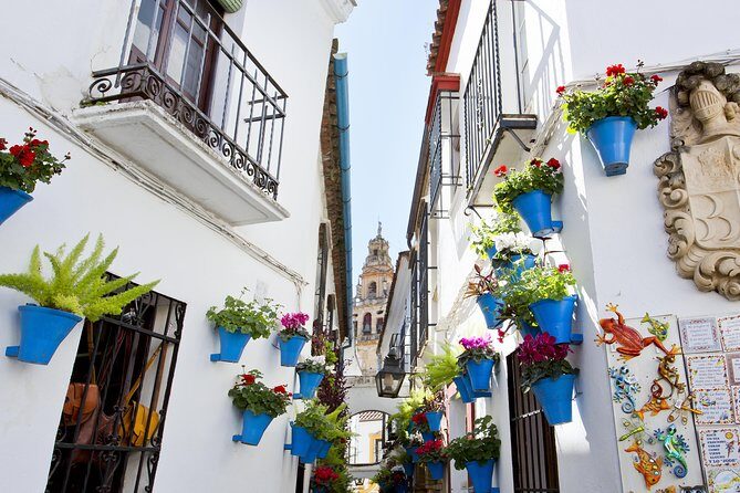 Cordoba Mosque & Jewish Quarter Guided Tour with tickets - La Judería walk: synagogue, Maimonides, and the old market feel
