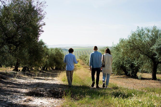 Cordoba Olive Oil mill, Wine, Passion - Key Highlights to Know Before You Go