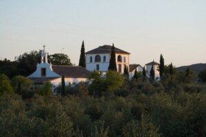 Cordoba Olive Oil mill, Wine, Passion - Inside the Olive Oil Mill: From Old Methods to Mechanized Reality