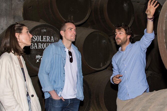 Cordoba Olive Oil mill, Wine, Passion - Price Value: Is $97 Fair for Olive Oil, Wine, and a Real Factory?