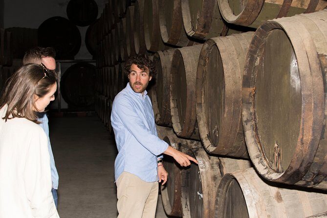 Cordoba Olive Oil mill, Wine, Passion - Should You Book Cordoba Olive Oil Mill, Wine, Passion?